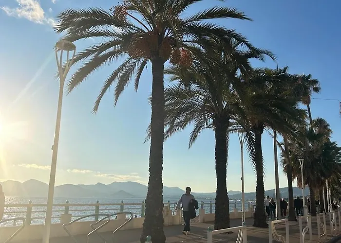 Daire Cosy A 3 Min De La Avec Parking Prive Cannes